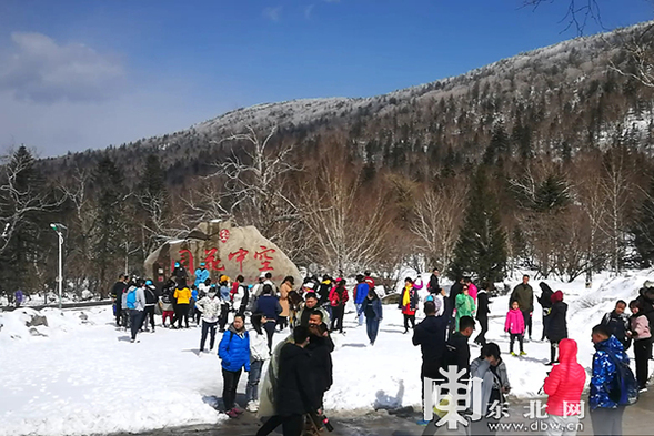 看國寶賞春雪喂麋鹿 “五一”假期龍江森工集團各景區待客忙