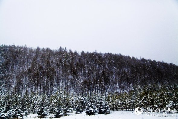 “中國愛情小鎮”大興安嶺新林迎來浪漫飄雪