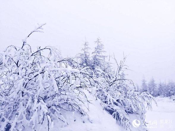 “中國愛情小鎮”大興安嶺新林迎來浪漫飄雪