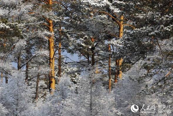 “中國愛情小鎮”大興安嶺新林迎來浪漫飄雪