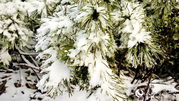 “中國愛情小鎮”大興安嶺新林迎來浪漫飄雪