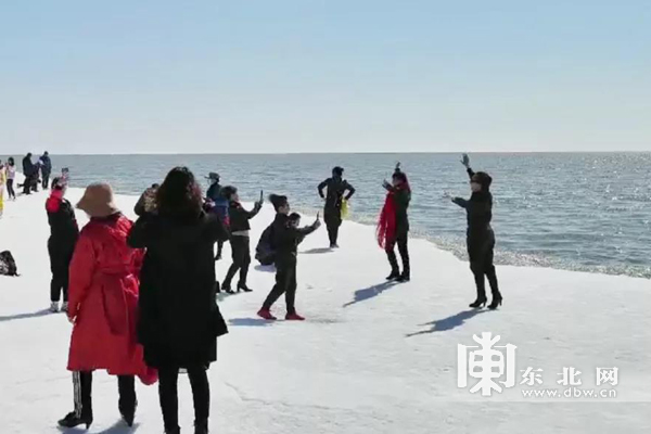 候鳥回歸“打卡” 雞西市興凱湖觀鳥節舉辦