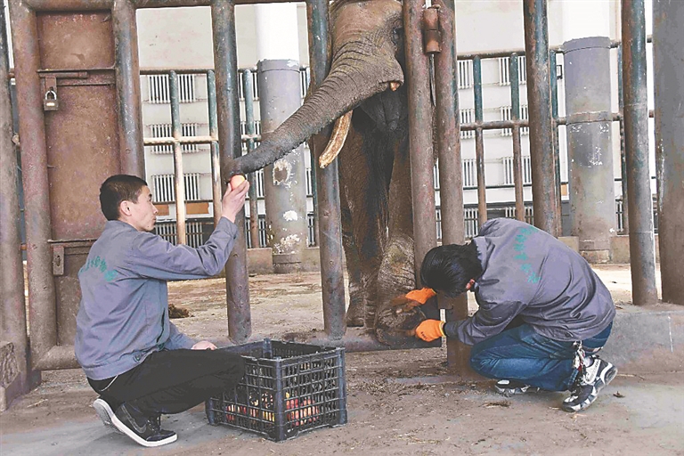 動物大體檢 北方森林動物園本週五開園