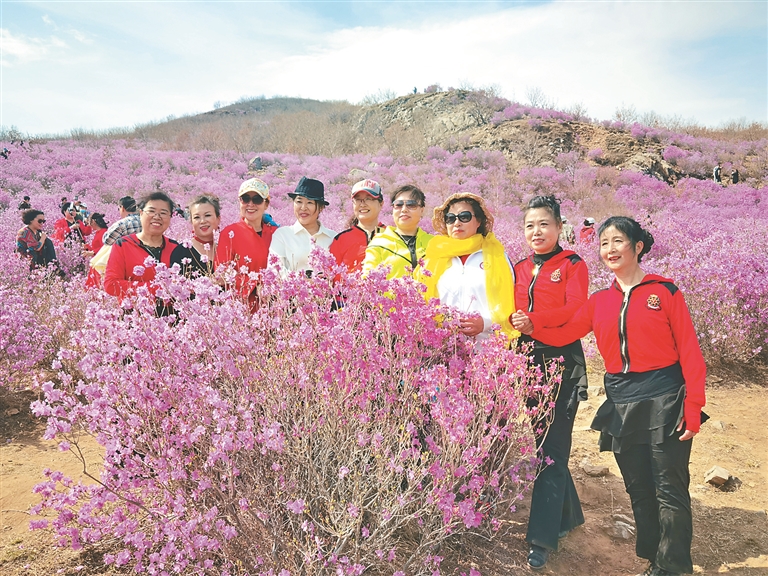 龍江縣杜鵑花節開幕