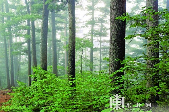 5月19日“中國旅遊日” 黑龍江116項系列活動和139項惠民措施等你來！