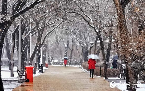 冰城四月迎春雪 最低氣溫跌至零下