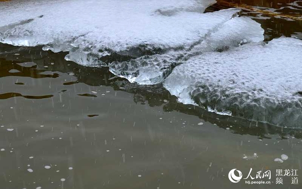 冰城四月迎春雪 最低氣溫跌至零下