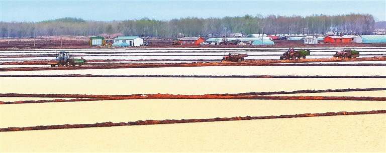 北大荒集團建三江分公司一千萬畝水田高標準插秧 田間機械化率99%