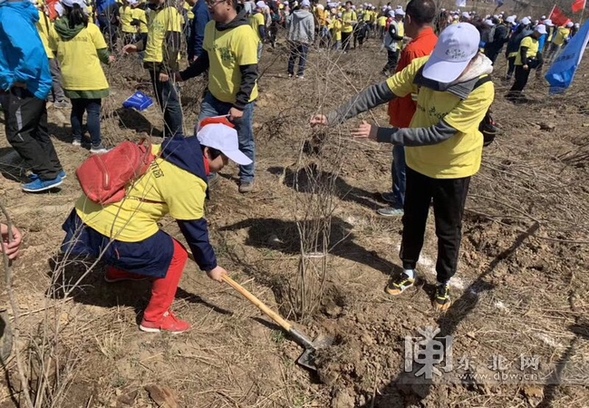 黑龍江省出臺鄉村綠化美化行動方案 建設生態宜居美麗鄉村