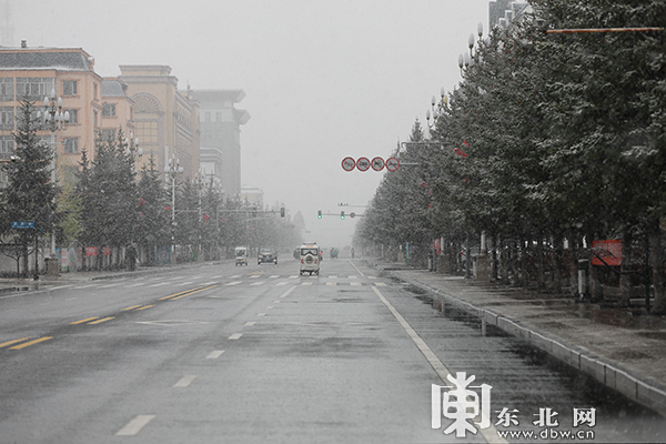 黑龍江漠河五月迎飛雪