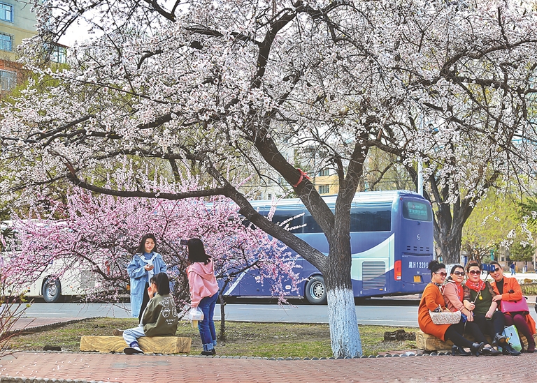 佳木斯：春季旅遊花事多