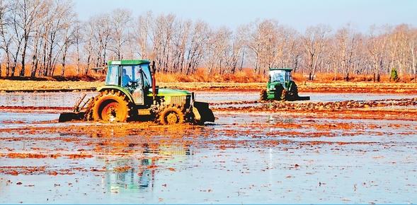 墾區水田開始水整地