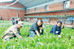 “龍須溝”變成了迎賓路