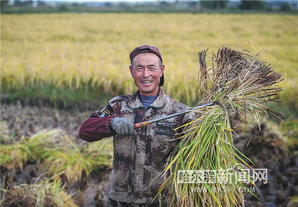 夯實糧食安全之基 冰城築牢“壓艙石”