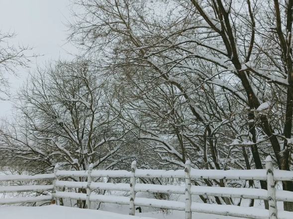 【OK有修改】（急稿）【供稿】【黑龍江】黑河吹響迎戰暴雪“集結號”