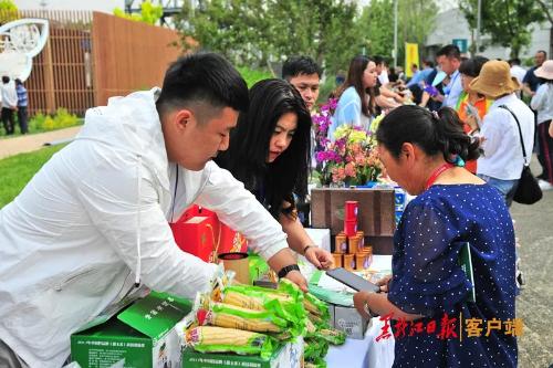 龍江之美“綻放”北京世園會