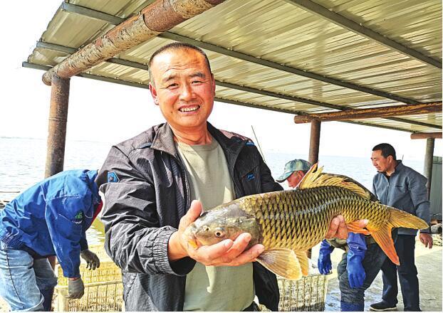 黑龍江大慶：肇源有個“神秘島”，鳥飛狐狸跑