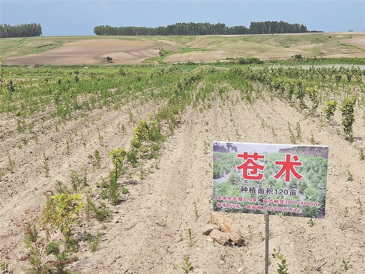 哈爾濱市方正縣聚焦解決1281件民生實事