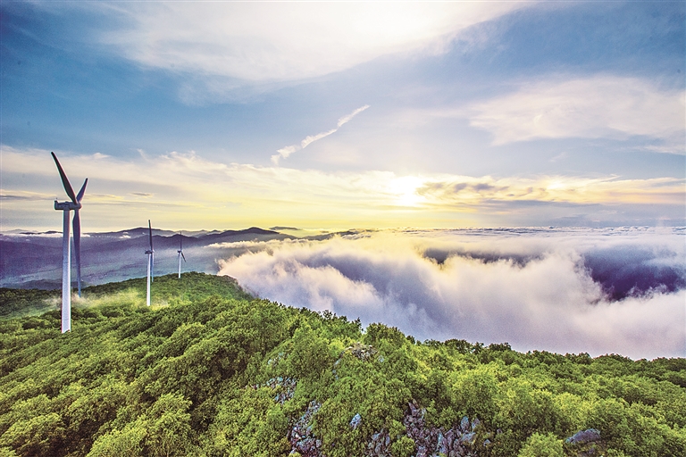 雙鴨山：打好資源牌 拓寬轉型路