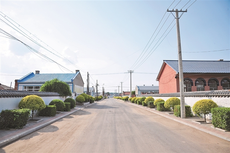 哈爾濱市雙城區推進鄉村環境整治 從“清潔鄉村”邁向“生態鄉村”