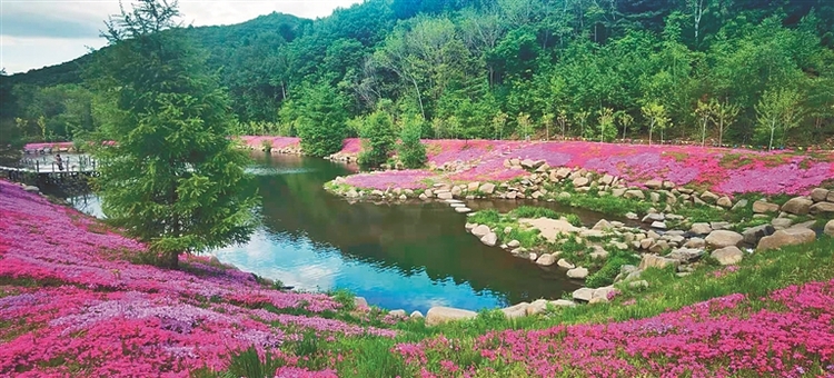 感受烏蘇裏船歌之美 領略雙鴨山多彩神韻