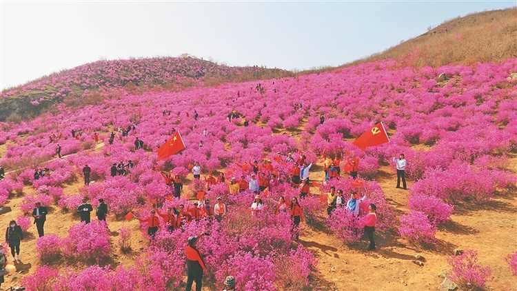 龍江縣：實現精彩五連跳 縣域經濟快發展