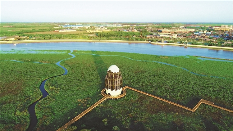 黑龍江邊境小城同江迎來旅遊熱潮