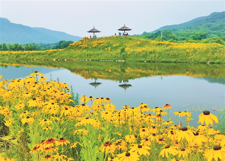 帽兒山花海迎客來