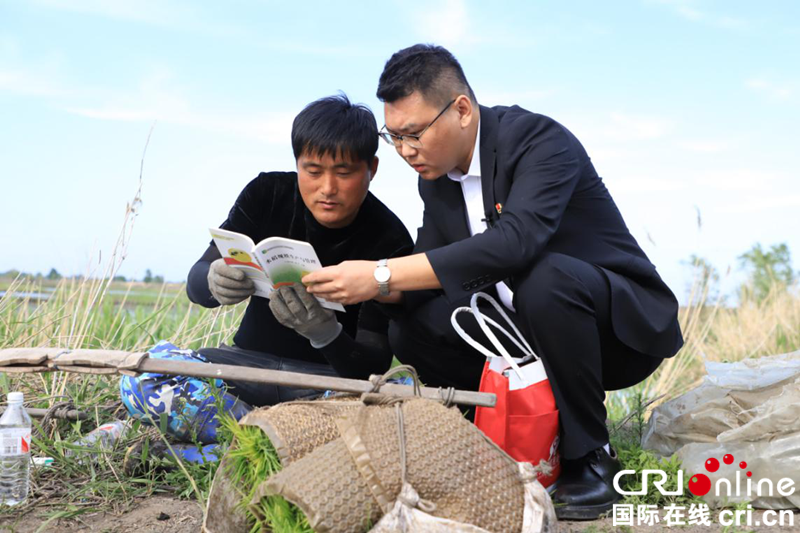 【黑龍江】【原創】肇東市農村信用合作聯社：深耕“三農”沃土 助力鄉村振興