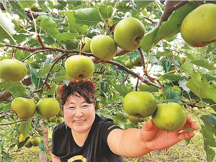 東寧：塞北江南 口岸名城