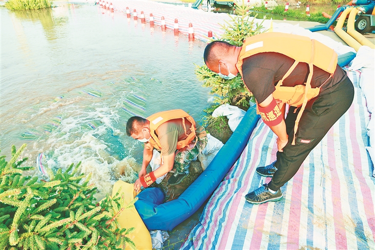 佳木斯：同江備足物資堅守堤壩 確保洪峰平穩過境