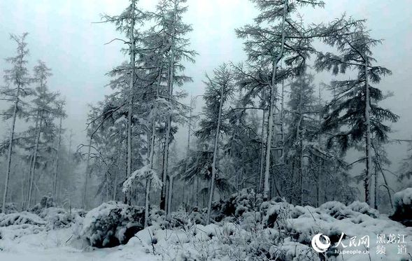 “中國最冷小鎮”大興安嶺呼中初夏降大雪