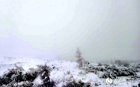 “中國最冷小鎮”大興安嶺呼中初夏降大雪