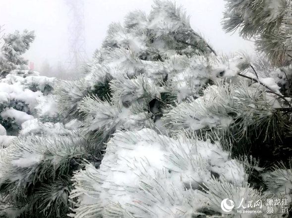 “中國最冷小鎮”大興安嶺呼中初夏降大雪