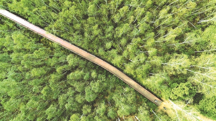 景城一體山水進城 建構城市愛的地標