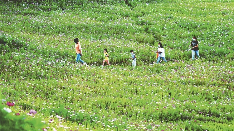 景城一體山水進城 建構城市愛的地標