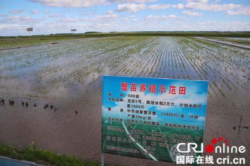 【急稿】【黑龍江】【原創】“央媒龍媒走黑河”大型采風活動見證北安的綠色發展