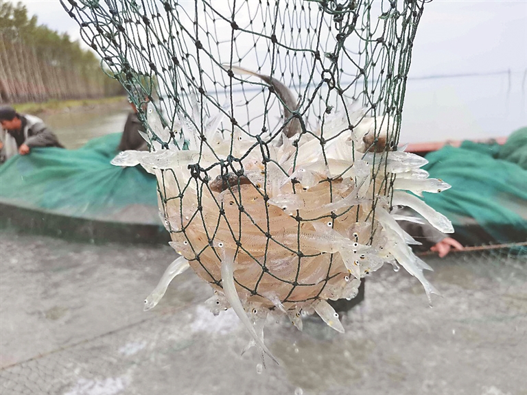 “南魚北遊” 湖水生金