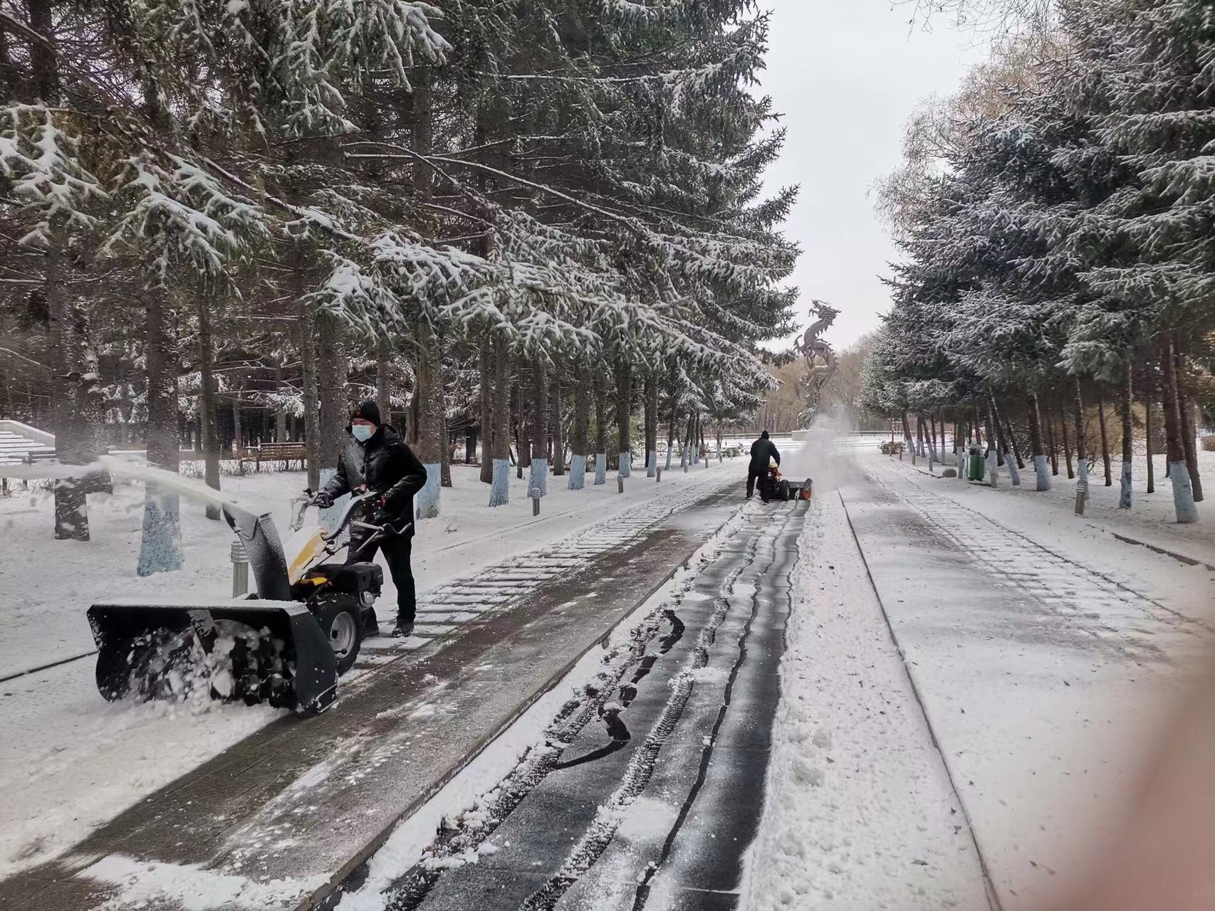 提前預判早準備 哈爾濱市平房區主幹街路清雪完畢_fororder_1