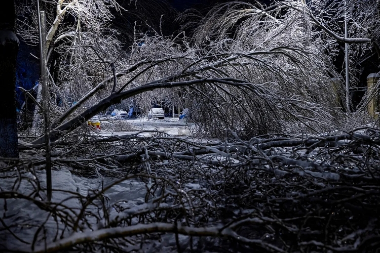 迎戰大風雪！黑龍江省消防救援總隊以實際行動“奮戰”在第三十個消防日_fororder_1.webp