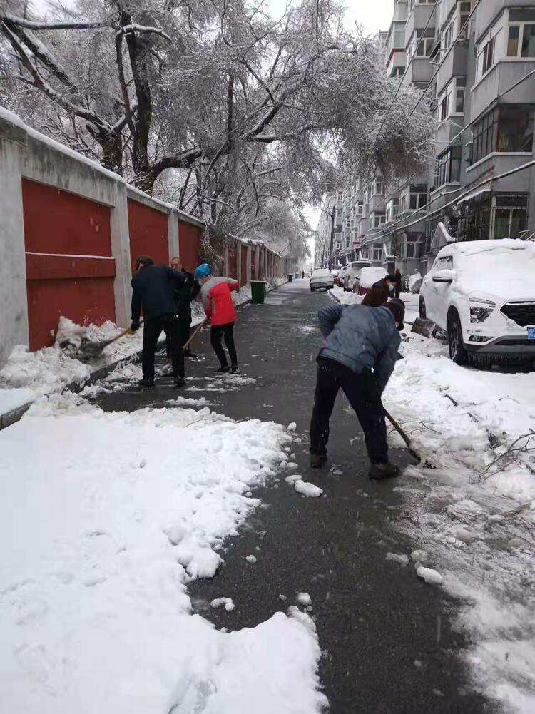 哈爾濱市平房區：居民參與志願服務 守護美好家園_fororder_微信圖片_20211110172223