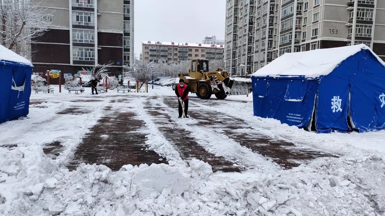 哈爾濱市平房區：居民參與志願服務 守護美好家園_fororder_微信圖片_20211110172233