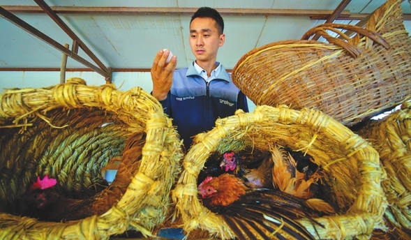 王立鵬“花樣養雞”扶貧幫困