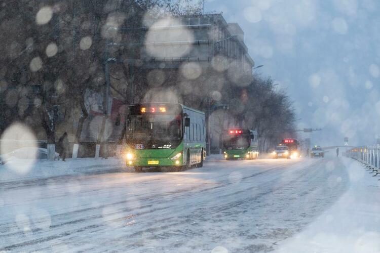 戰風鬥雪護平安——黑龍江迎戰暴風雪極端天氣紀實