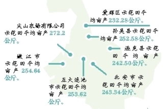 平均畝産超250公斤 黑河“夥伴行動”測産數據 給我們哪些啟示？