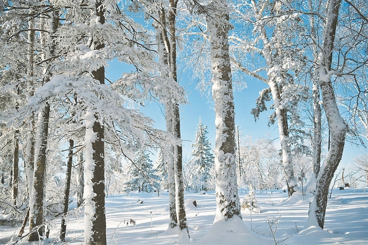 亞雪公路冰雪畫廊美不勝收