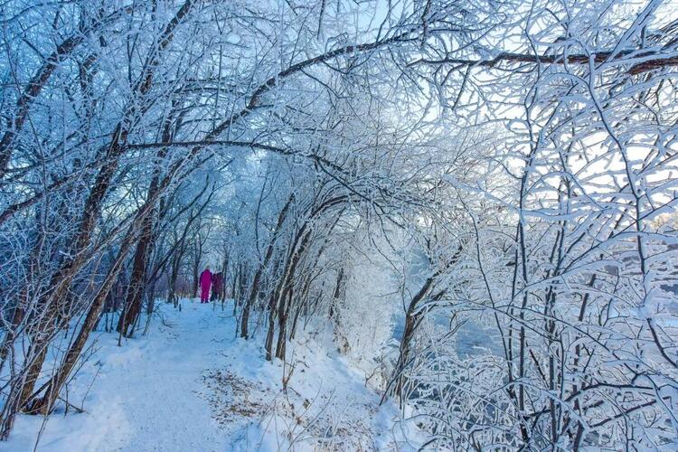 醉美黑河 | 冰雪北國 戀戀黑河_fororder_微信圖片_20220112084326