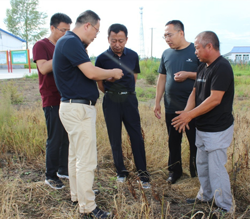 【黑龍江】【供稿】黑河市遜克縣長袁強深入寶山鄉檢查指導脫貧攻堅工作