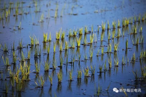 這個村70年傳奇發展"簡史",有你家鄉"進化"的影子