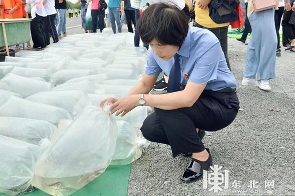 中俄兩國鱘鰉魚增殖放流活動在撫遠市黑瞎子島舉行